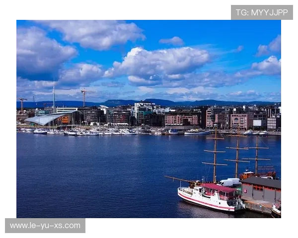 奥斯陆主场助力，挪威迎来关键一战